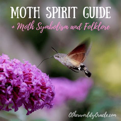 Moth Familiars: How to Harness the Energy of Moths in Spellwork
